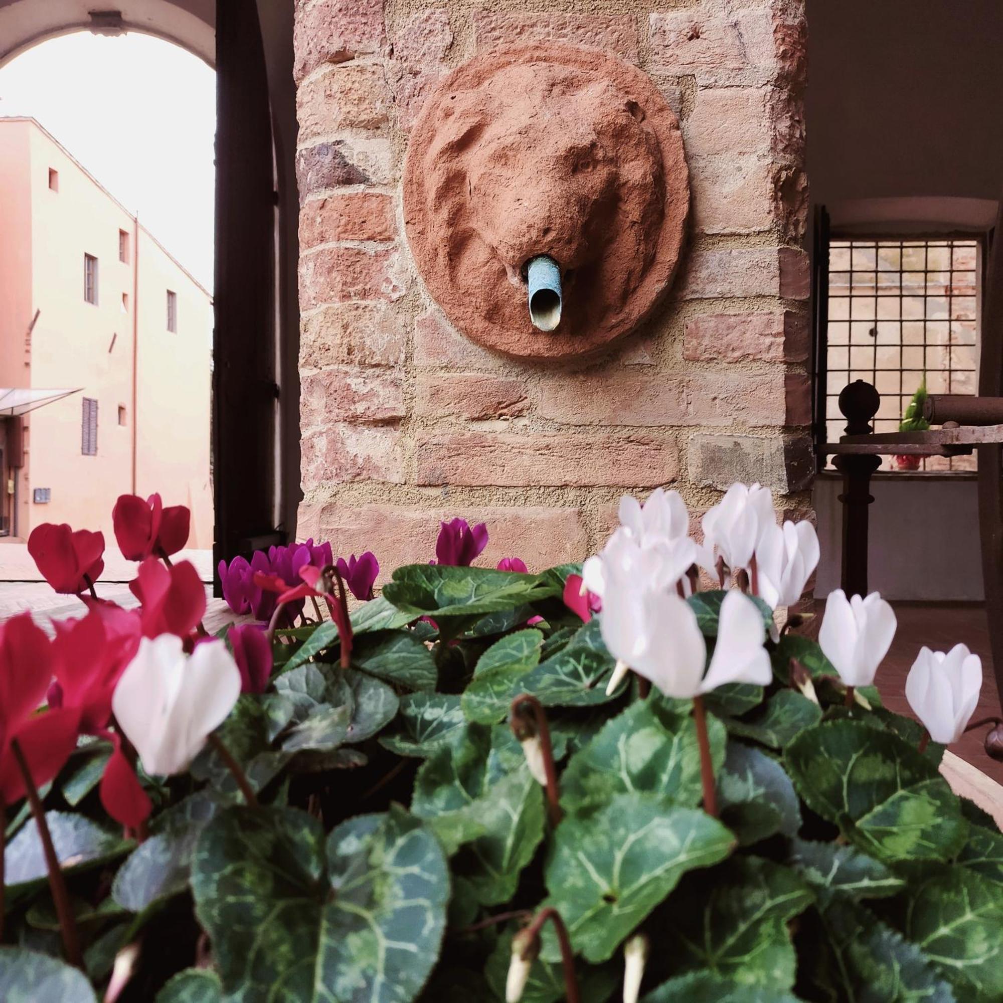 Appartement Palazzo Stiozzi Ridolfi à Certaldo Extérieur photo